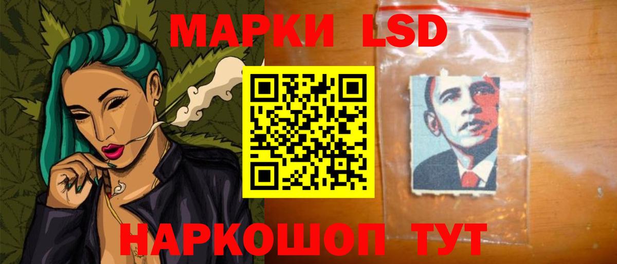ГАШ Курчалой