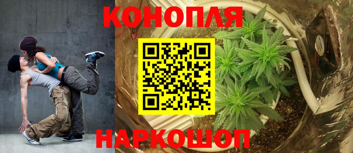 Марихуана семена  Вход с VPN  Курчалой  Конопля индика 